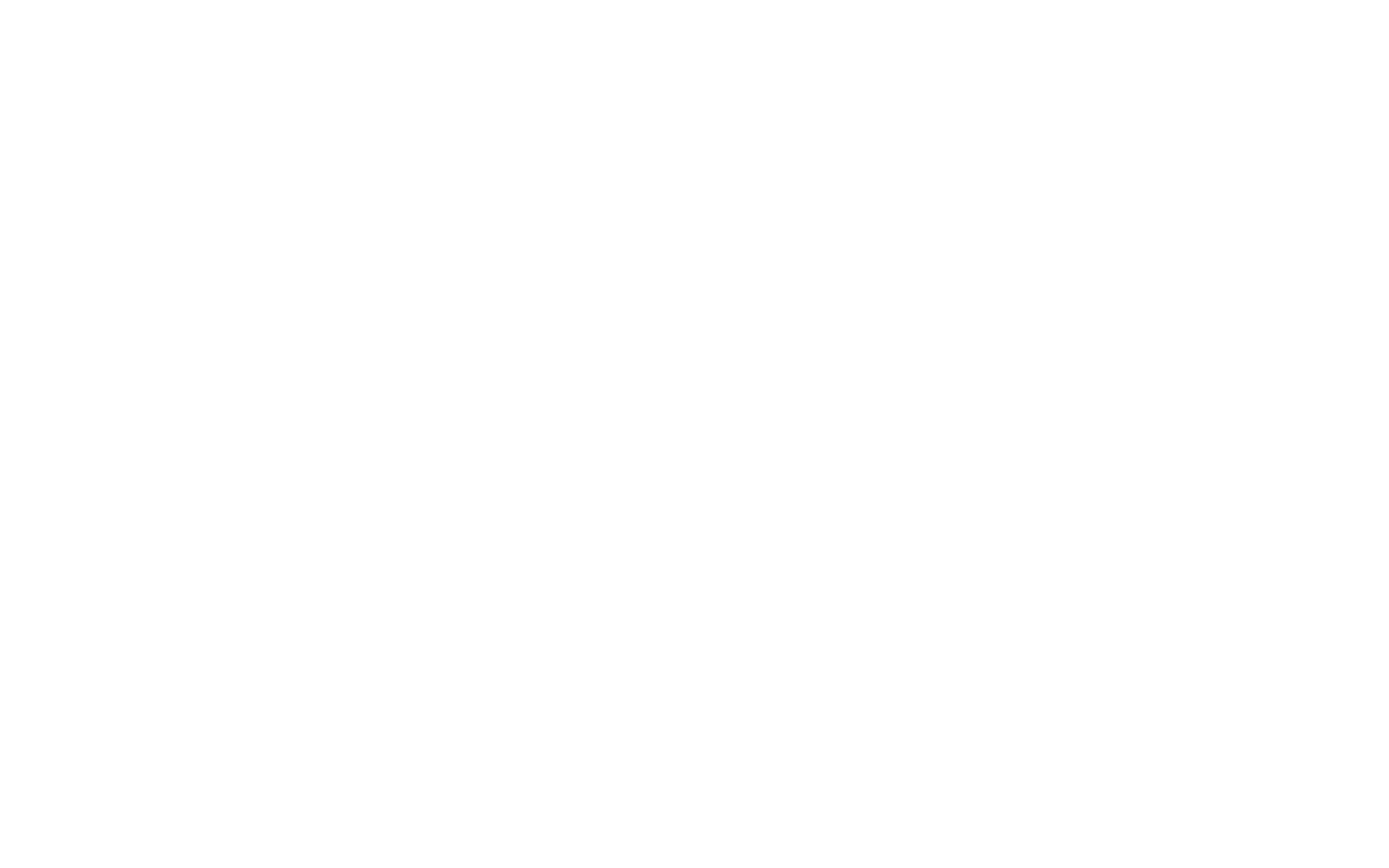 The Trading Bull – The Art of Trading